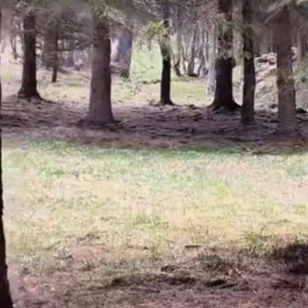 Im Spiss Daire Macugnaga Dış mekan fotoğraf