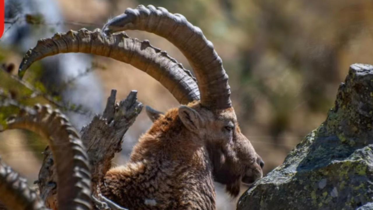 Im Spiss Daire Macugnaga Dış mekan fotoğraf